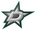 Dallas Stars Plastic Effect Logo Sticker Heat Transfer