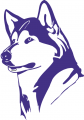 Washington Huskies 1995-2000 Partial Logo Sticker Heat Transfer