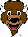 Marshall Thundering Herd 2001-Pres Misc Logo decal sticker