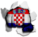 Fist Croatia Flag Logo decal sticker