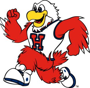Hartford Hawks 1995-Pres Mascot Logo 08 decal sticker