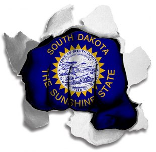 Fist South Dakota State Flag Logo Sticker Heat Transfer