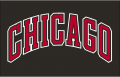 Chicago Bulls 1999 00-Pres Jersey Logo decal sticker