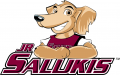 Southern Illinois Salukis 2006-2018 Mascot Logo Sticker Heat Transfer