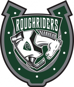 Cedar Rapids RoughRiders 2009 10-2011 12 Alternate Logo Sticker Heat Transfer