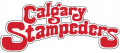 Calgary Stampeders 1980-1985 Wordmark Logo decal sticker