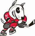 Niagara IceDogs 2007 08-Pres Alternate Logo decal sticker