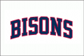 Buffalo Bisons 1987 Jersey Logo Sticker Heat Transfer