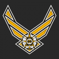 Airforce Boston Bruins logo decal sticker