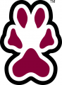 Southern Illinois Salukis 2001-2018 Secondary Logo 01 decal sticker