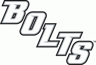 Tampa Bay Lightning 2008 09-Pres Wordmark Logo decal sticker