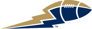 Winnipeg Blue Bombers 2005-2011 Alternate Logo Sticker Heat Transfer