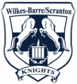 Wilkes-BarreScranton Knights 2015 16-Pres Primary Logo Sticker Heat Transfer