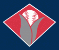 Cedar Rapids Kernels 1993-2006 Cap Logo decal sticker
