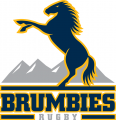 Brumbies 2005-Pres Primary Logo Sticker Heat Transfer