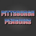 Pittsburgh Penguins American Captain Logo decal sticker