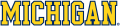 Michigan Wolverines 1996-Pres Wordmark Logo 08 decal sticker