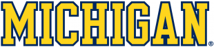 Michigan Wolverines 1996-Pres Wordmark Logo 08 Sticker Heat Transfer