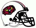 Temple Owls 2000-2003 Helmet Logo Sticker Heat Transfer