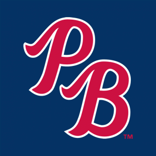 Palm Beach Cardinals 2003-Pres Cap Logo decal sticker