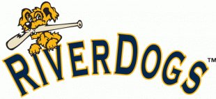 Charleston Riverdogs 2011-2015 Wordmark Logo decal sticker