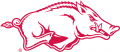 Arkansas Razorbacks 2001-2013 Alternate Logo 02 Sticker Heat Transfer