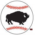 Buffalo Bisons 2005-2008 Alternate Logo decal sticker