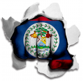 Fist Belize Flag Logo decal sticker