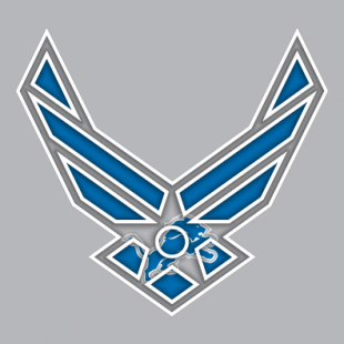 Airforce Detroit Lions logo decal sticker