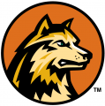Wright State Raiders 2001-Pres Alternate Logo 02 Sticker Heat Transfer