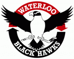 Waterloo Black Hawks 2007 08-2013 14 Primary Logo Sticker Heat Transfer