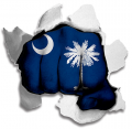 Fist South Carolina State Flag Logo Sticker Heat Transfer
