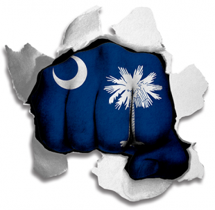 Fist South Carolina State Flag Logo decal sticker