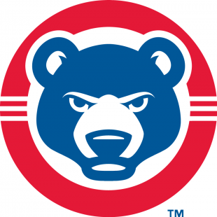 South Bend Cubs 2015-Pres Secondary Logo Sticker Heat Transfer