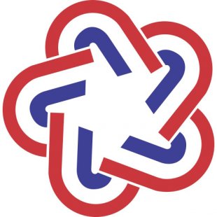 USA Logo 15