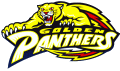 FIU Panthers 1994-2000 Primary Logo decal sticker