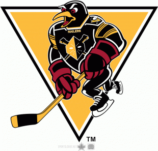 Wheeling Nailers 2010 11 Alternate Logo 2 decal sticker