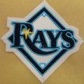 Tampa Bay Rays Embroidery logo