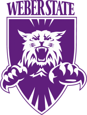 Weber State Wildcats 1997-2011 Primary Logo decal sticker