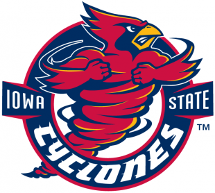 Iowa State Cyclones 1995-2006 Alternate Logo 06 Sticker Heat Transfer