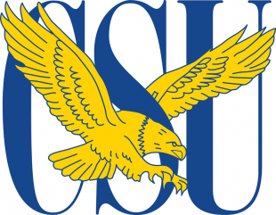 Coppin State Eagles 2004-2016 Primary Logo decal sticker